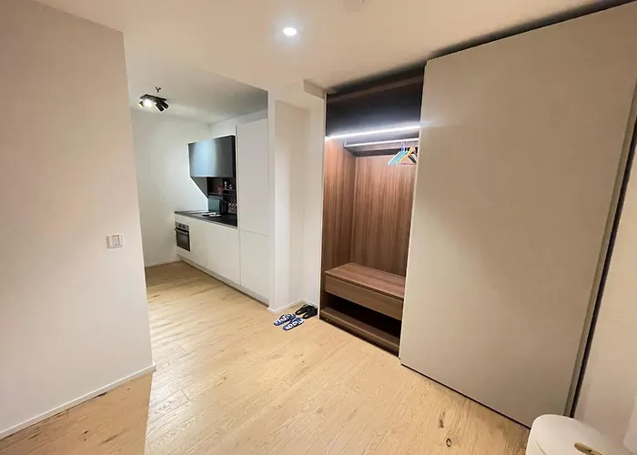 1-bedroom Luxury In The Heart Of With Kitchen Διαμέρισμα Βιέννη